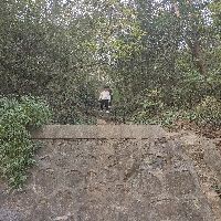 河南鉆石和真鉆一樣嗎