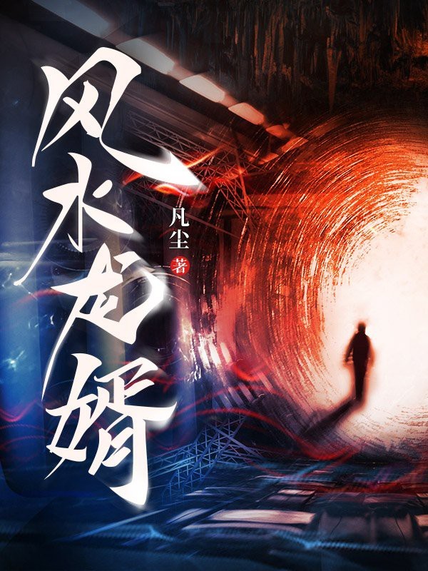 《風水龍婿》這本書好看嗎？
