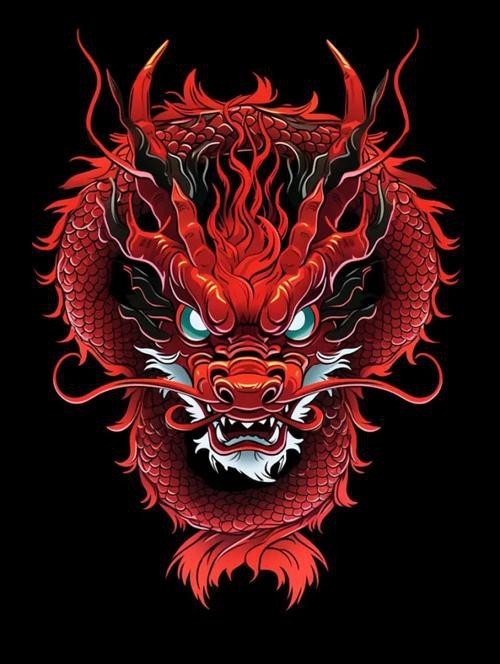 有哪些龍畫裝飾的案例可以參考？