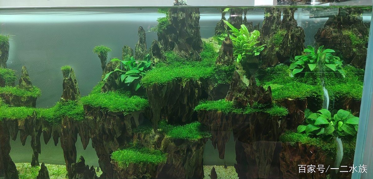 1.2米魚缸