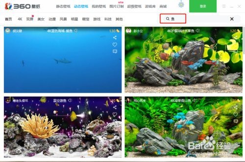 電腦端如何設置5D動態金龍魚壁紙？