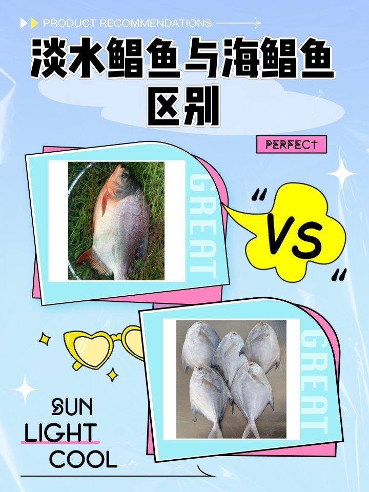 淡水鯧魚和海水鯧魚的區別