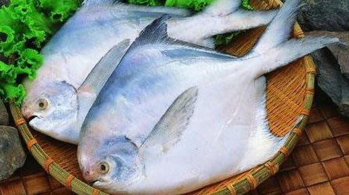 紅鯧魚為何不建議吃