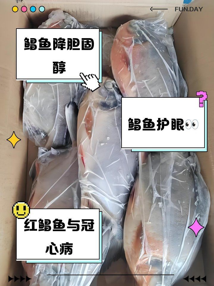 紅鯧魚為何不建議吃