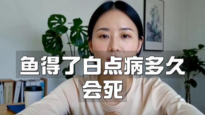 六角龍魚白點病多久會死亡