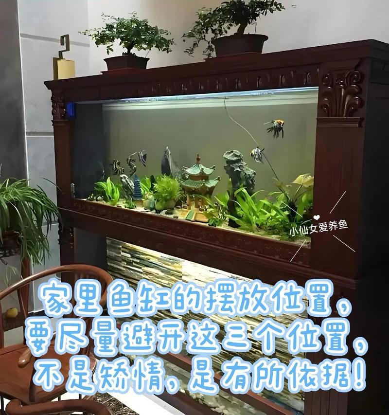 魚缸放在客廳位置圖