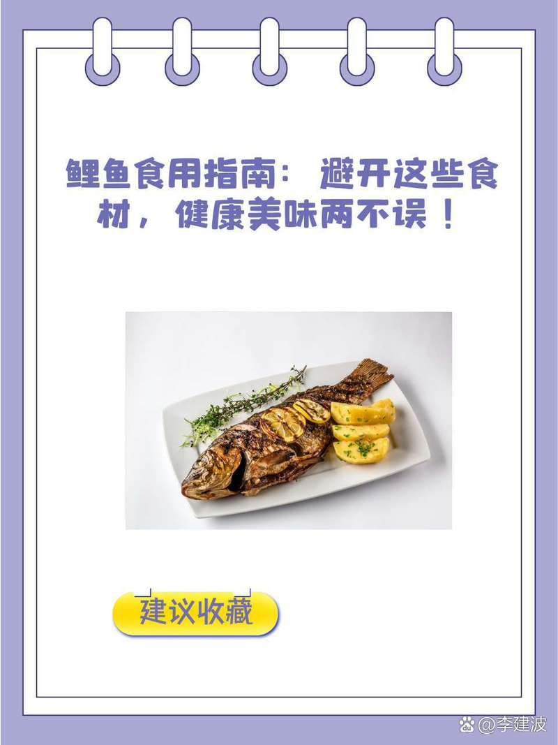 七紋巨鯉最忌三種食物圖片