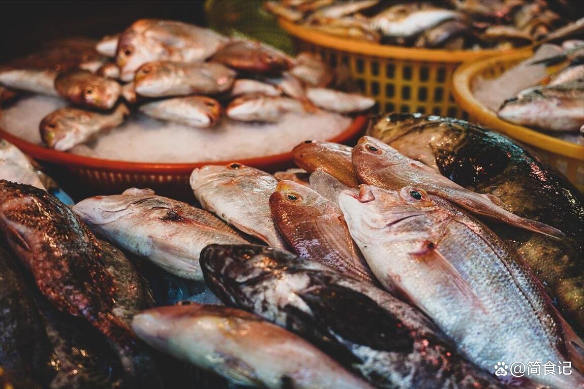 七紋巨鯉最忌三種食物圖片