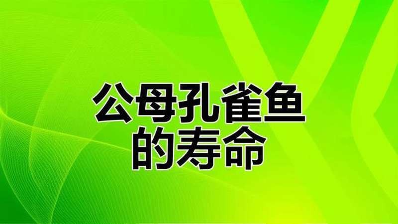 孔雀魚(yú)為啥叫死亡之魚(yú) 孔雀魚(yú)為啥叫死亡之魚(yú) 龍魚(yú)論壇 第8張