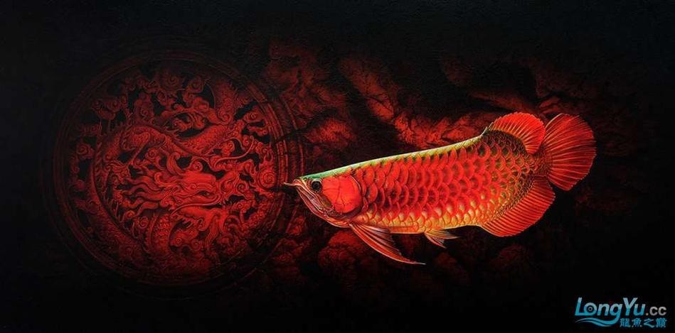推薦一些適合龍魚的背景圖