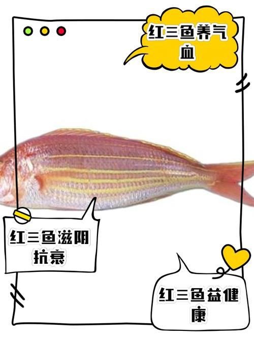 紅三線魚圖片