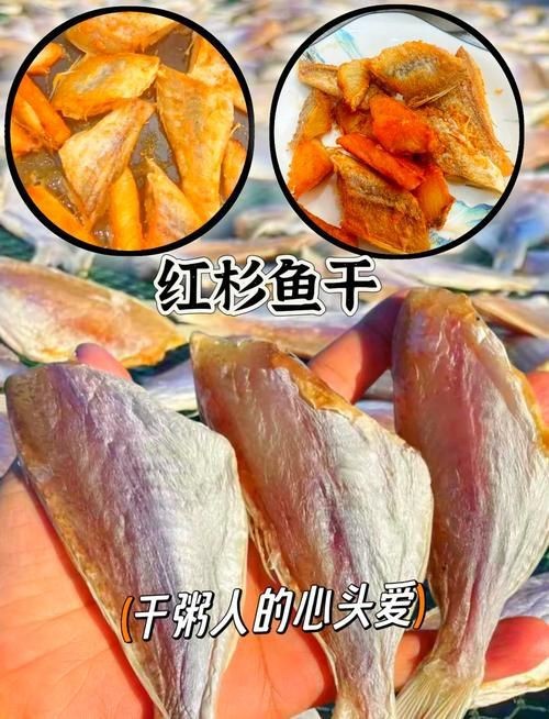 紅三線魚圖片