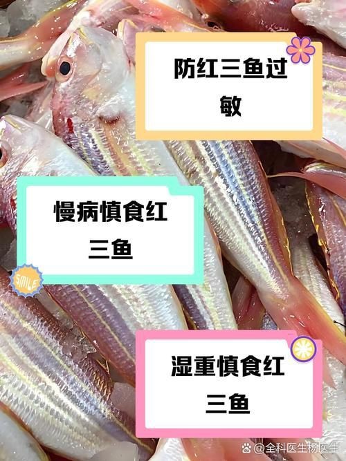 紅三線魚圖片