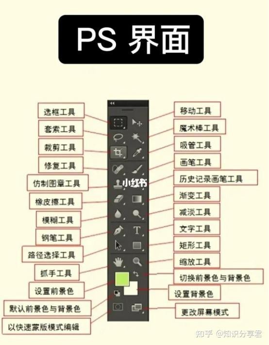 如何拍攝龍魚攝影作品？