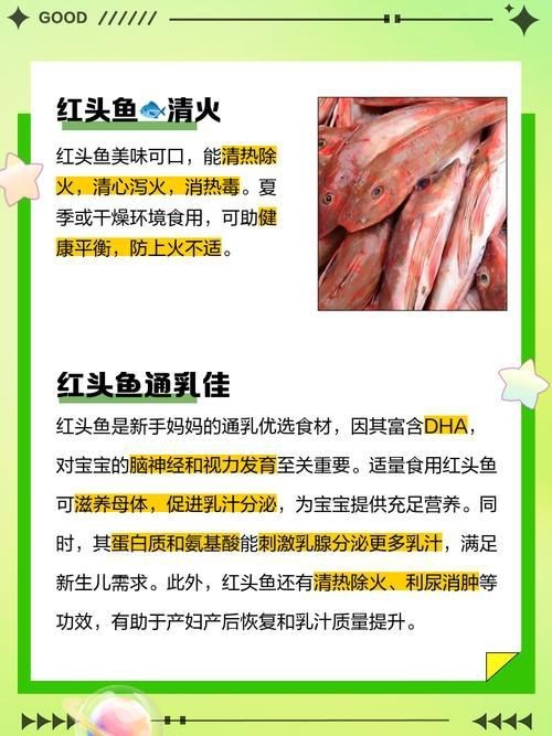 紅頭運魚圖片