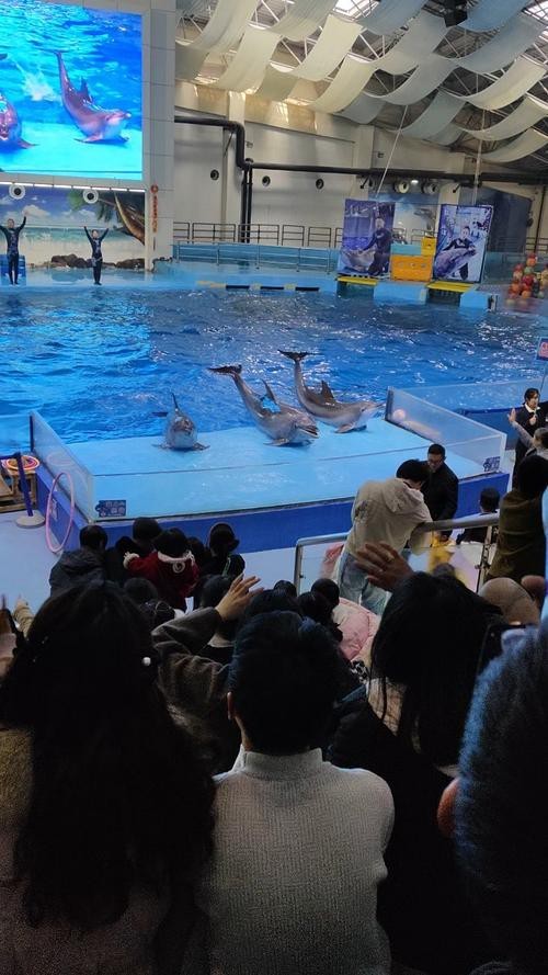 合肥龍魚市場營業時間表圖片