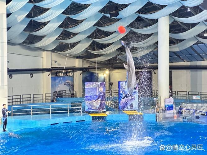 合肥龍魚市場營業時間表圖片