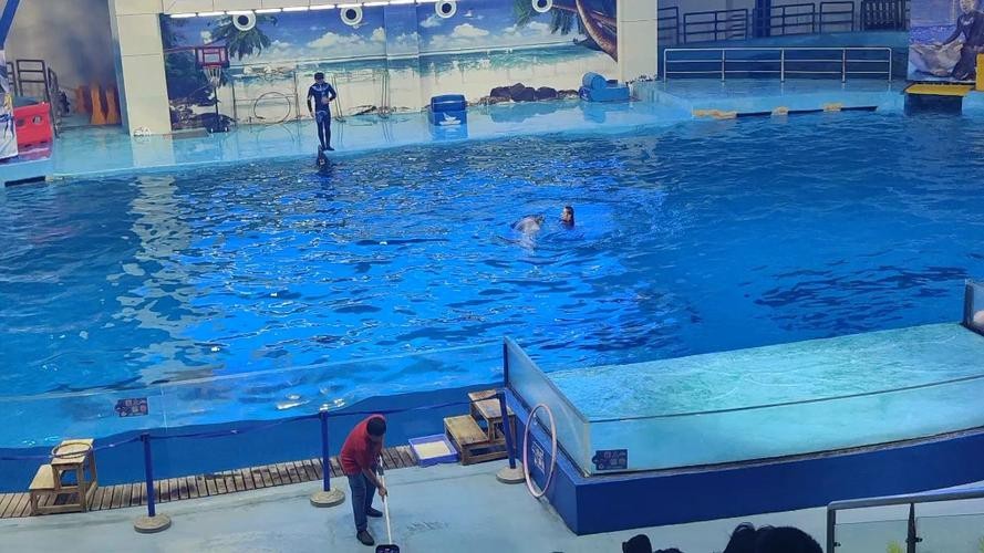 合肥龍魚市場營業時間表圖片