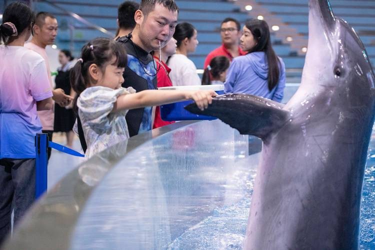 合肥龍魚市場營業時間表圖片