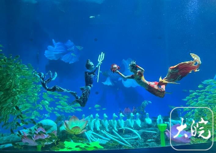 合肥龍魚市場營業時間表圖片