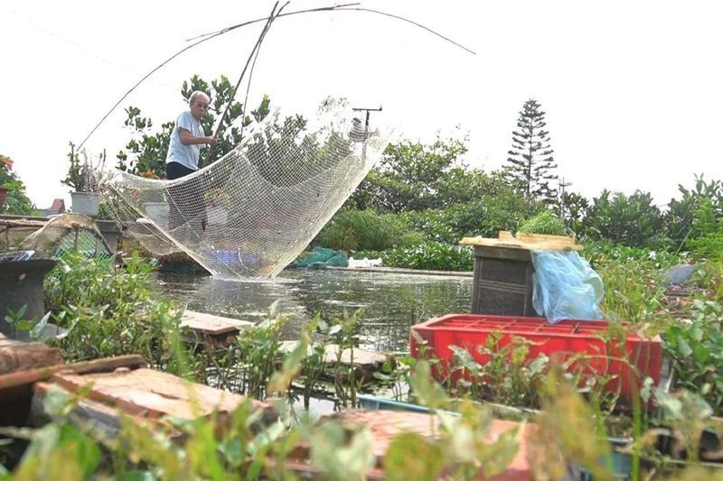 淡水魚100升水放多少鹽
