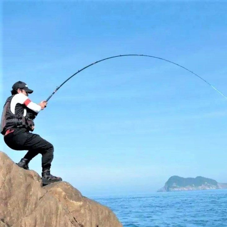 鯽魚有幾種品種圖片