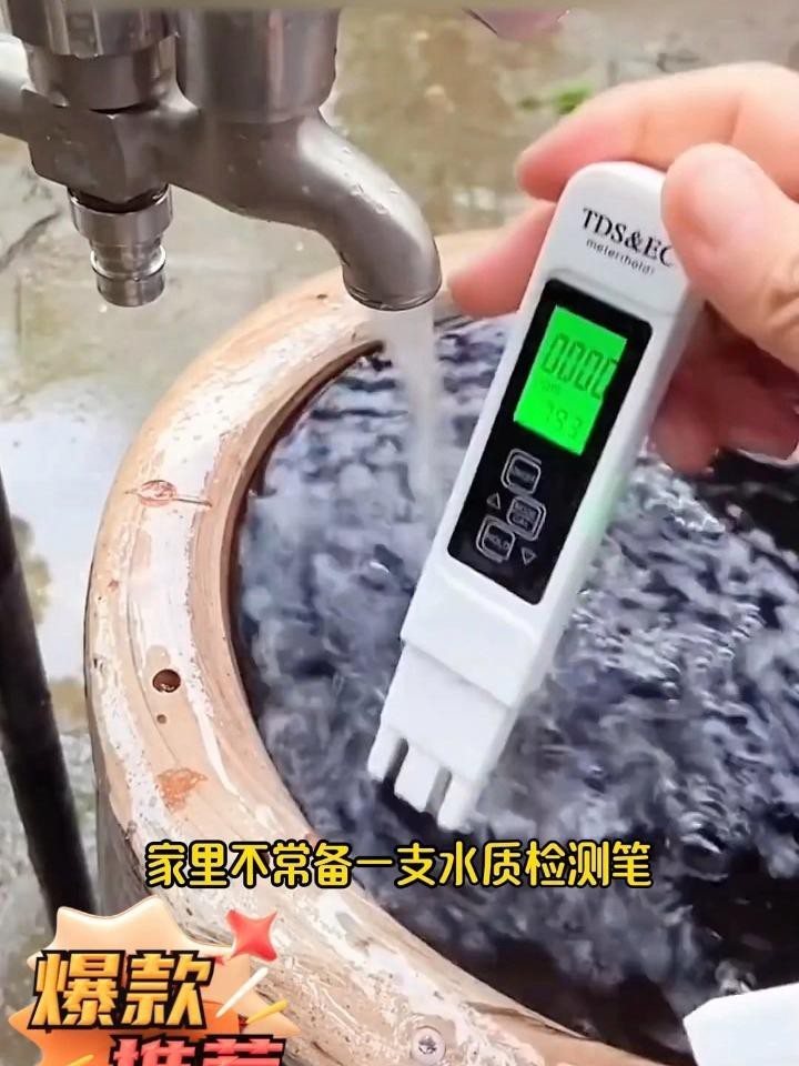 如何預防龍魚感染鰓病？
