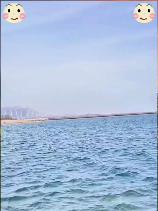如何預防龍魚感染鰓病？