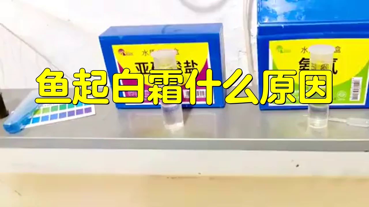 魚起白霜什么原因