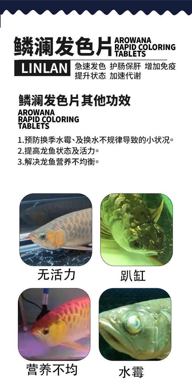 鱗瀾龍魚極速增色飼料