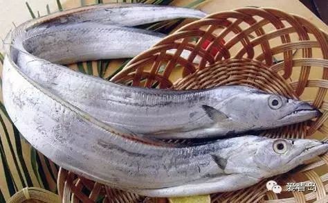 刀魚跟帶魚有什么區別