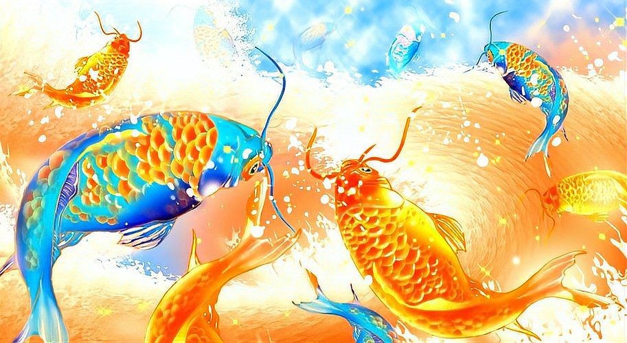 荷包鯉魚為何被禁吃