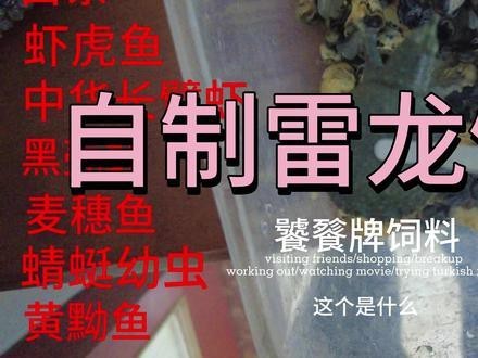 自制龍魚飼料配方大全