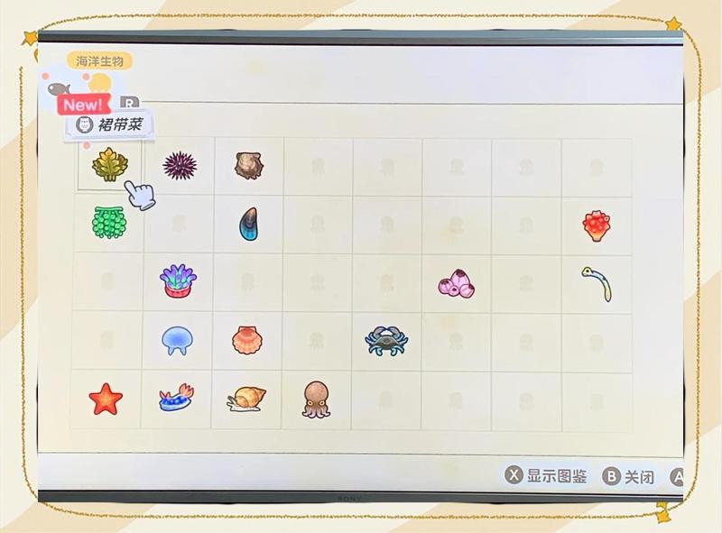 動森 海洋動物價目表