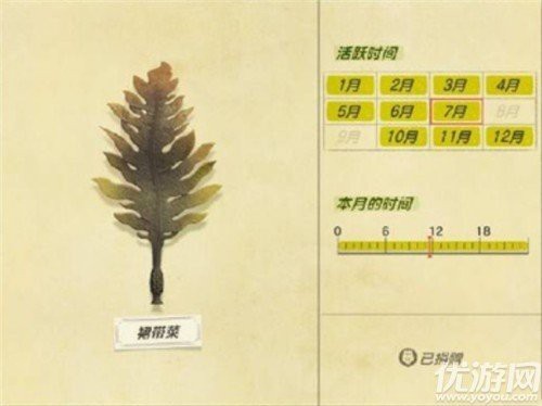 動森 海洋動物價目表