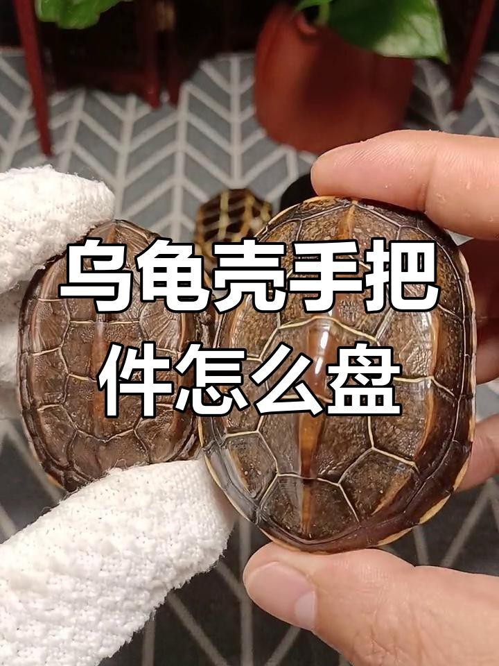 龍龜手把件如何保養 龍龜手把件如何保養 龍魚論壇 第2張