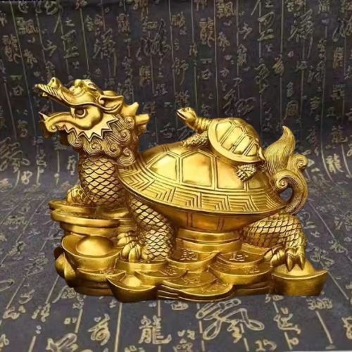 風水龍龜圖片 龍魚論壇 第14張 風水龍龜圖片 風水龍龜圖片 龍魚論壇 第14張