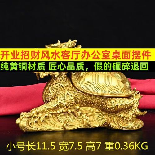 風水龍龜圖片 龍魚論壇 第13張 風水龍龜圖片 風水龍龜圖片 龍魚論壇 第13張