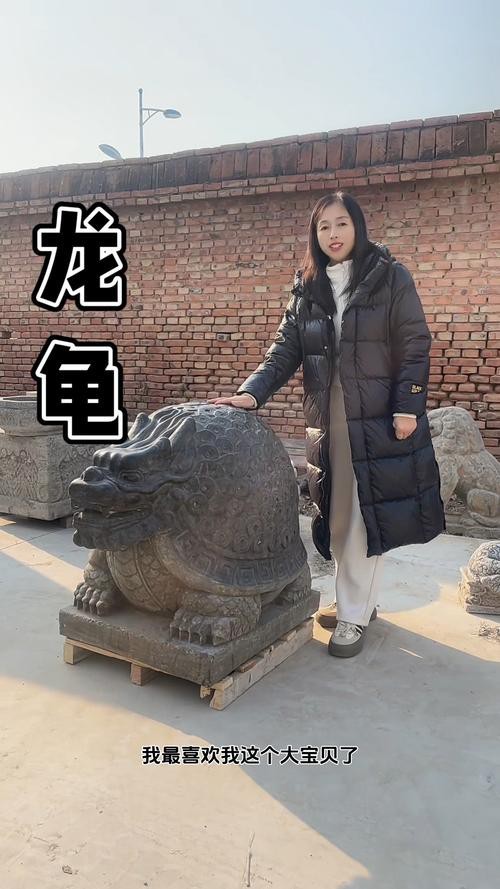 風水龍龜圖片 龍魚論壇 第25張 風水龍龜圖片 風水龍龜圖片 龍魚論壇 第25張