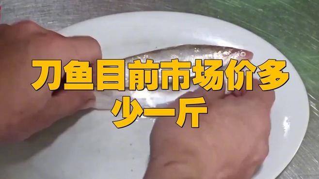 刀魚目前市場價多少一斤