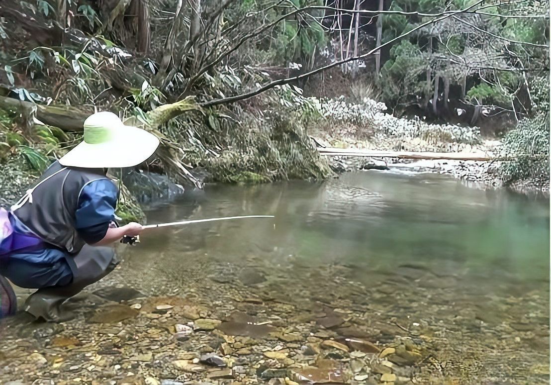 石爬子魚圖片