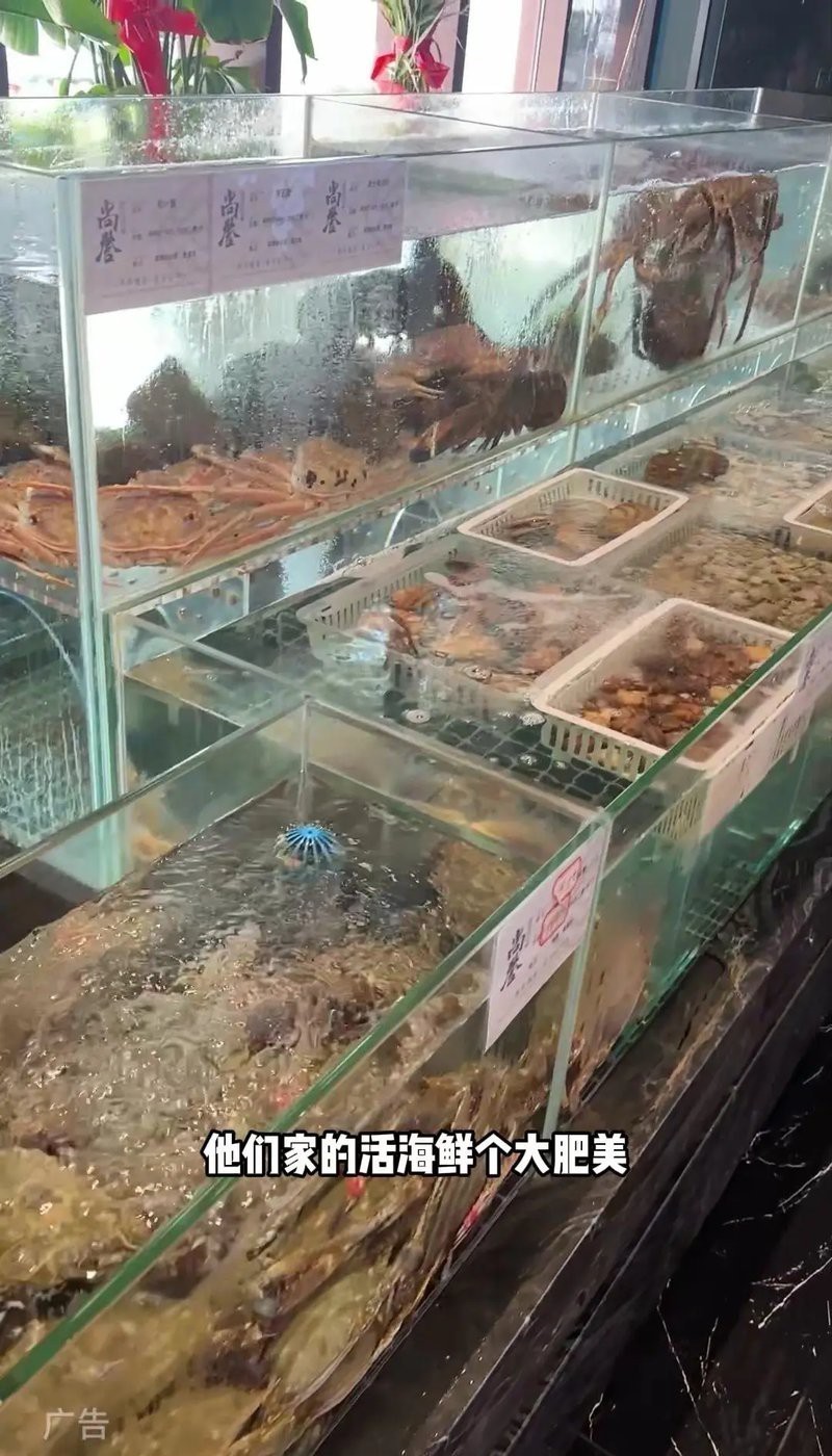青島和尚魚是雜牌還是名牌