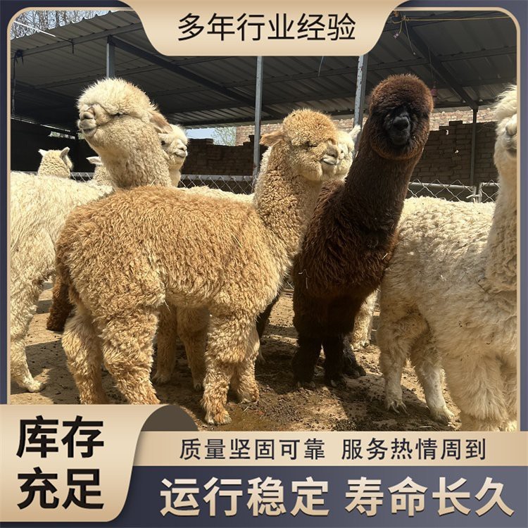 魚缸水渾有什么辦法（如何正確使用凈水劑魚缸水草養護技巧） 魚缸水渾有什么辦法（如何正確使用凈水劑魚缸水草養護技巧） 魚缸百科 第6張