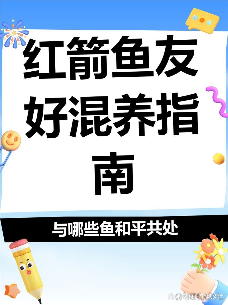 紅箭魚吃孔雀魚嗎