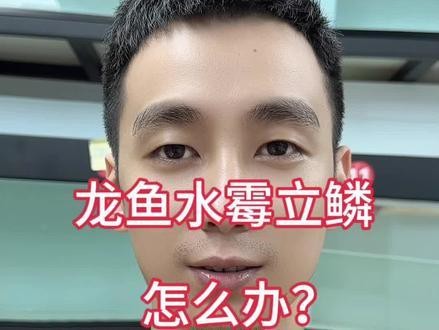 怎樣養(yǎng)好龍魚視頻解說文案大全
