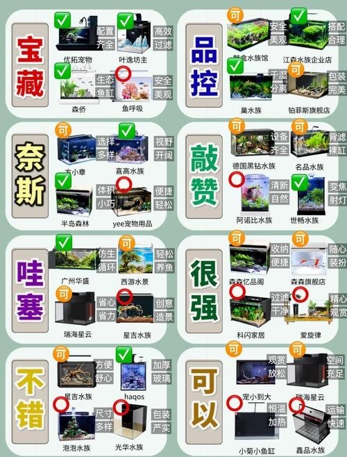 龍魚缸怎么選擇好壞圖片