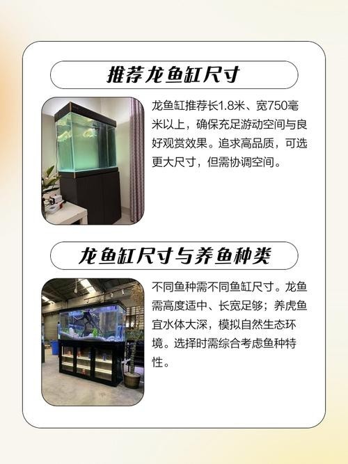 龍魚缸怎么選擇好壞圖片