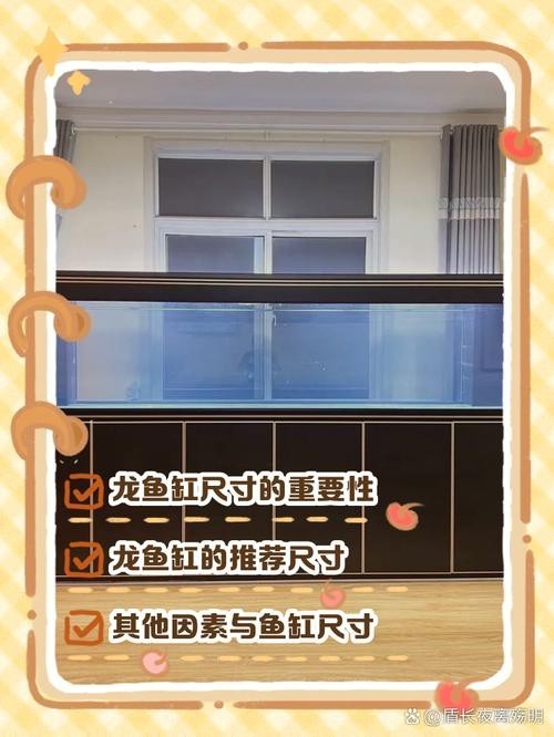 龍魚缸怎么選擇好壞圖片