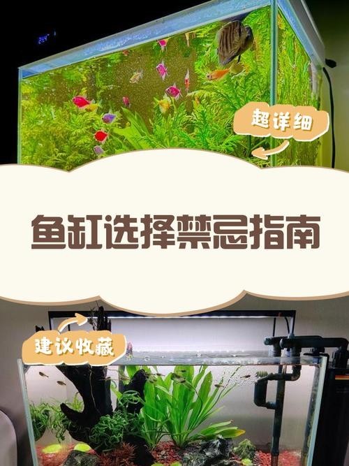龍魚缸怎么選擇好壞圖片