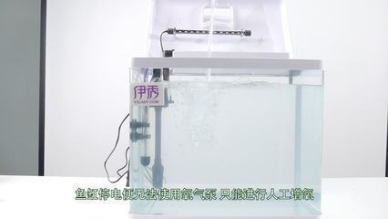 紅龍魚眼睛突出很多是什么原因呢視頻解說（紅龍魚眼睛突出很多是什么原因呢視頻解說）